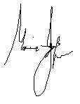 Marie signature